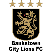 https://img.wasabiwabi.com/img/football/team/3611895b1d993768346b422472166483.png